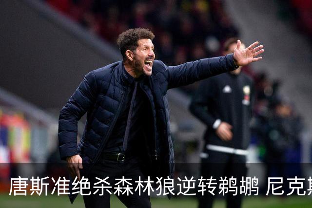 唐斯准绝杀森林狼逆转鹈鹕 尼克斯送黄蜂4连败